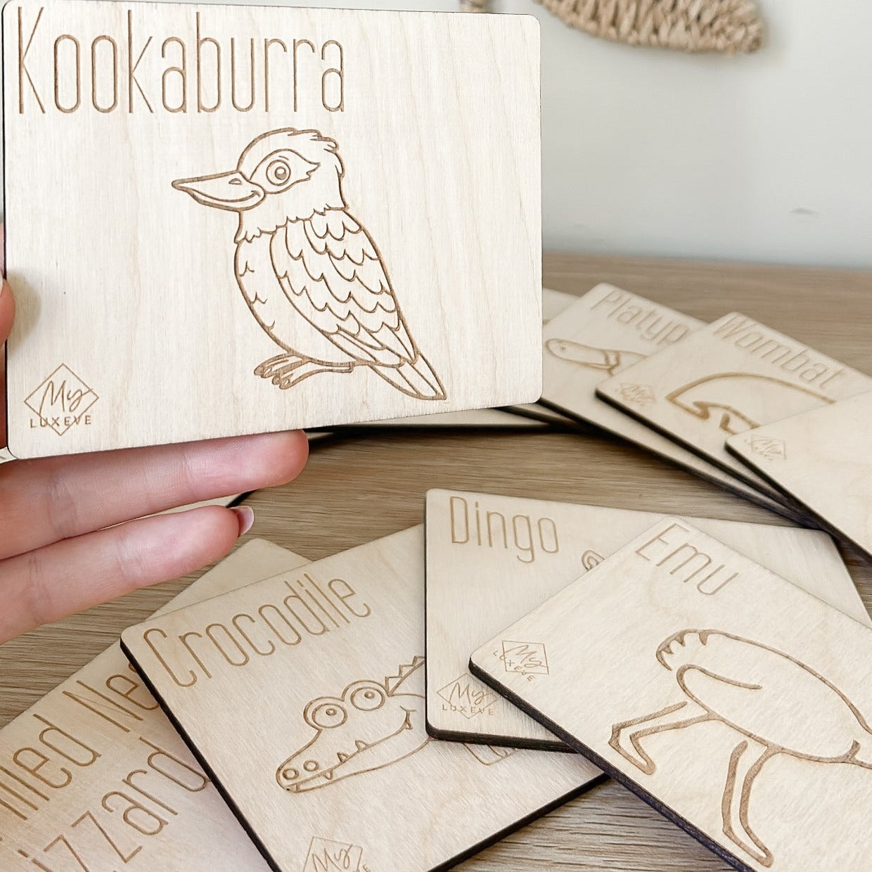 Australian Animals Flashcards