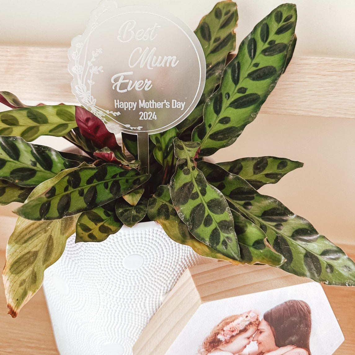 Frosted White Acrylic Mother's Day Plant Stake