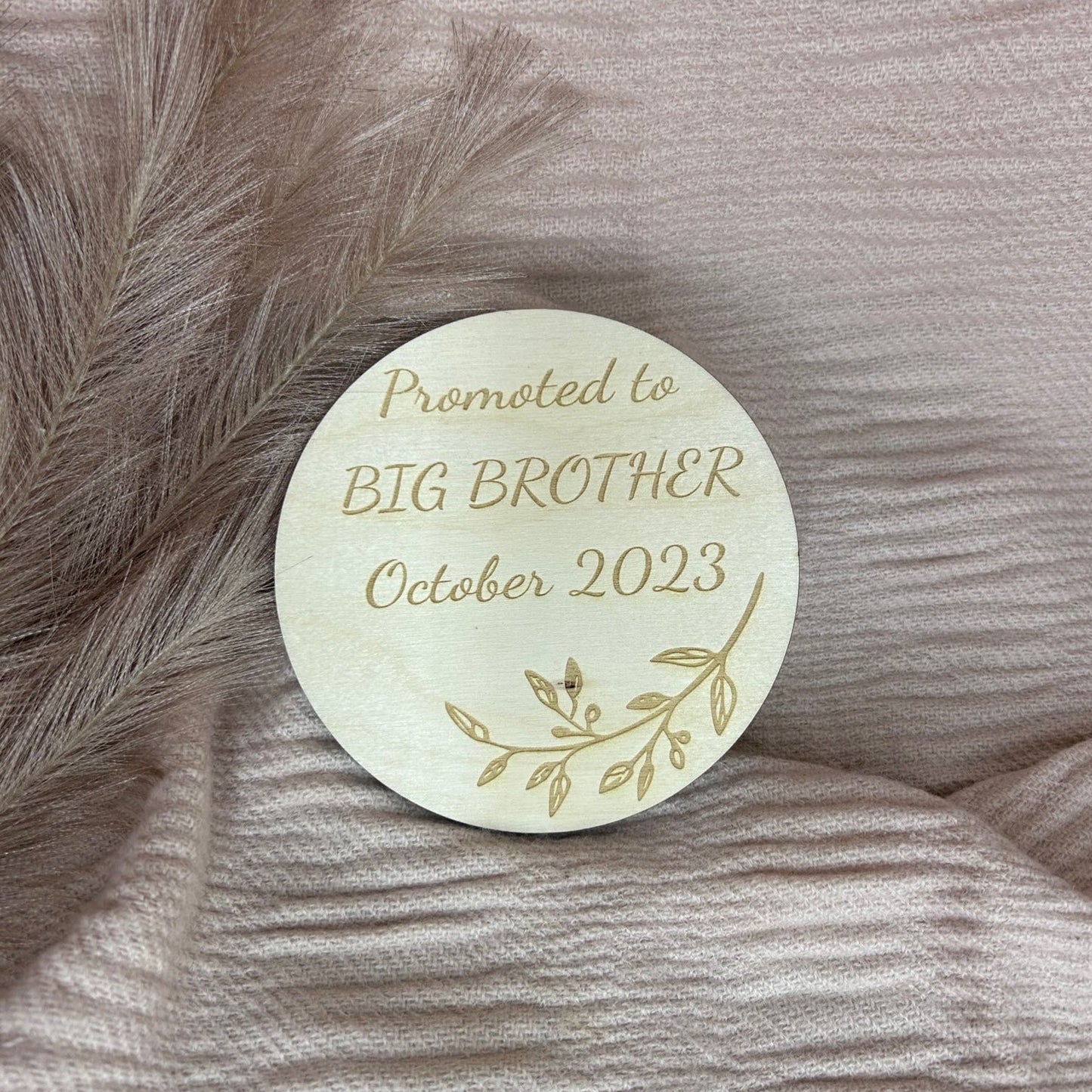 Promoted to Big Brother Announcement Disc