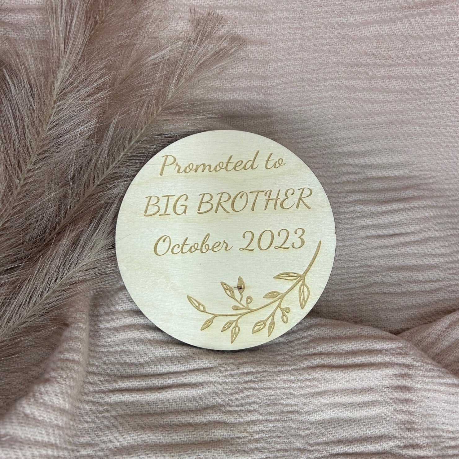 Promoted to Big Brother Announcement Disc