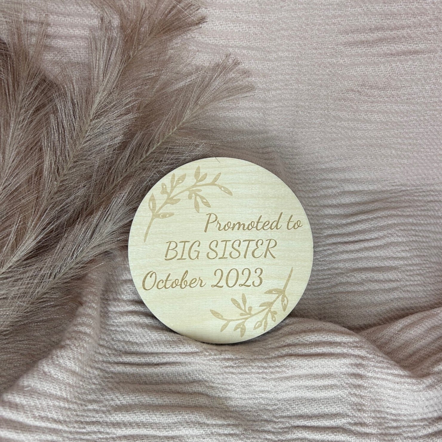 Promoted to Big Sister Announcement Disc