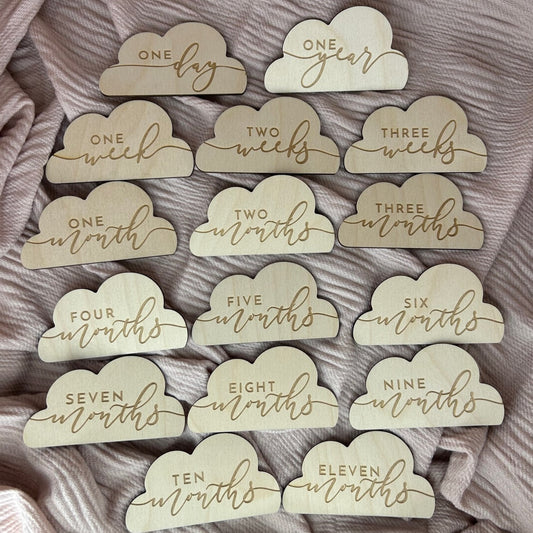 Cloud Baby Milestone Discs Full Set