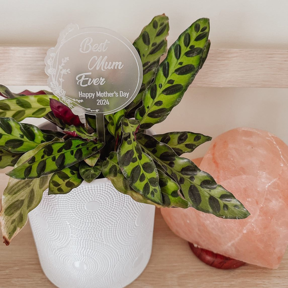 Frosted White Acrylic Mother's Day Plant Stake