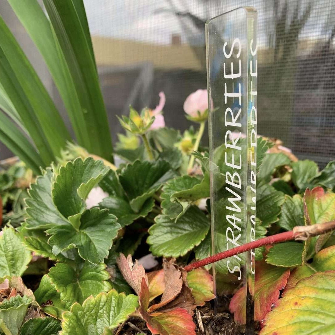 Vegetable and herb garden markers in a herb garden