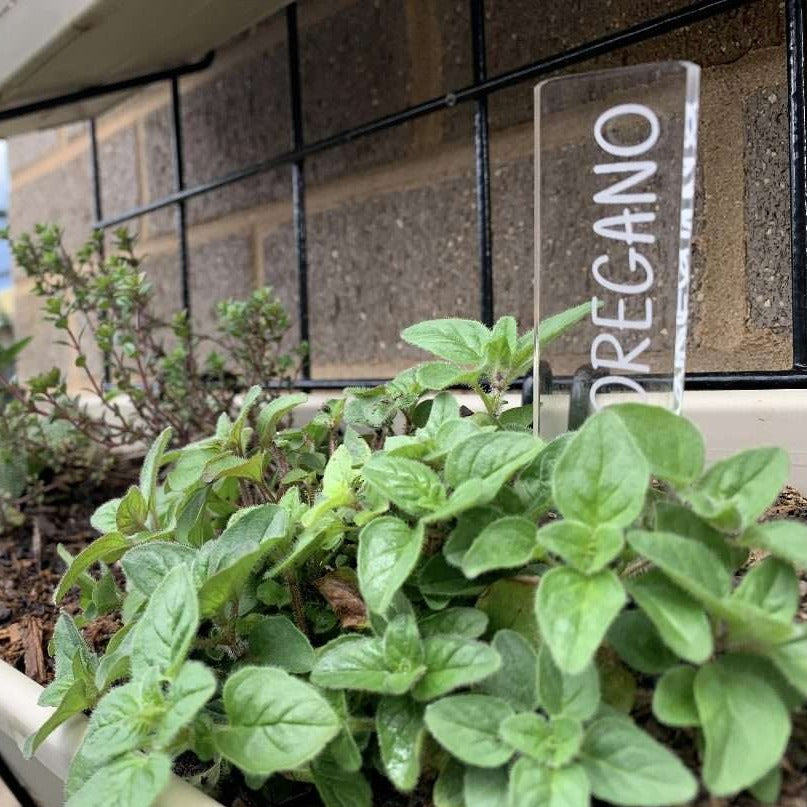 Vegetable and Herb Garden Markers in a Vegetable Garden