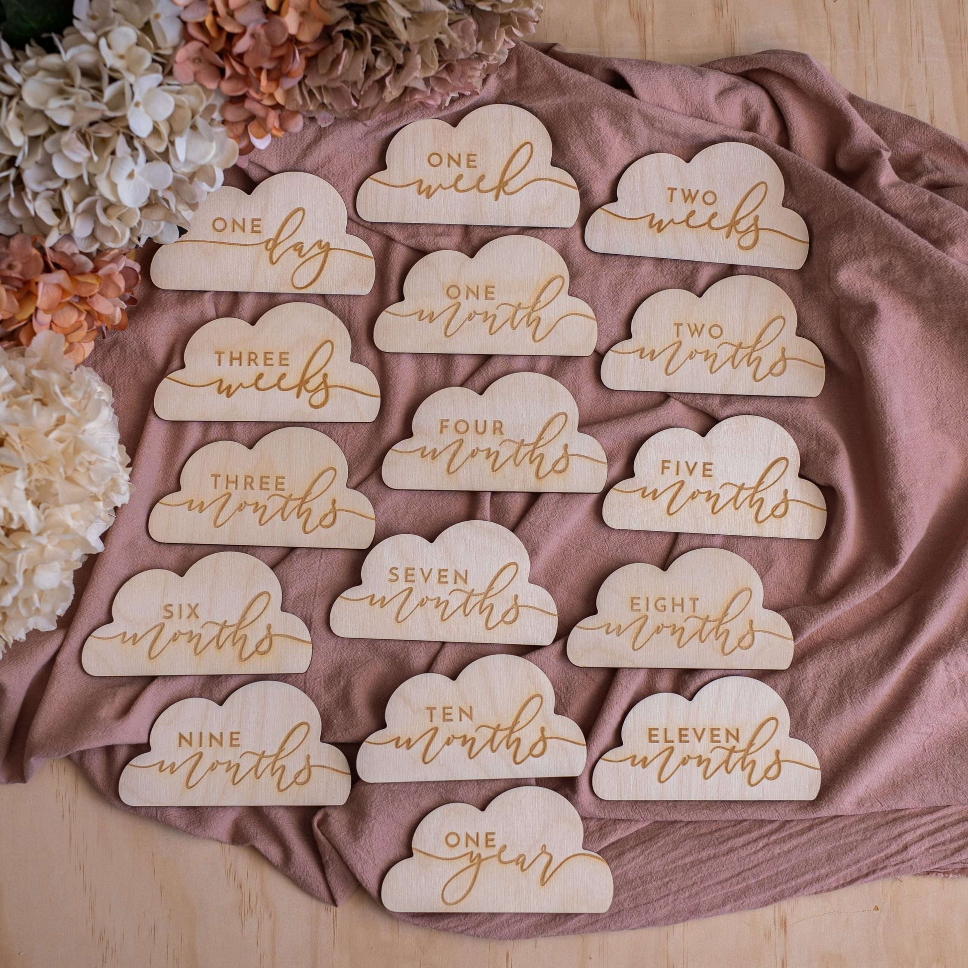 Cloud Baby Milestone Discs Full Set