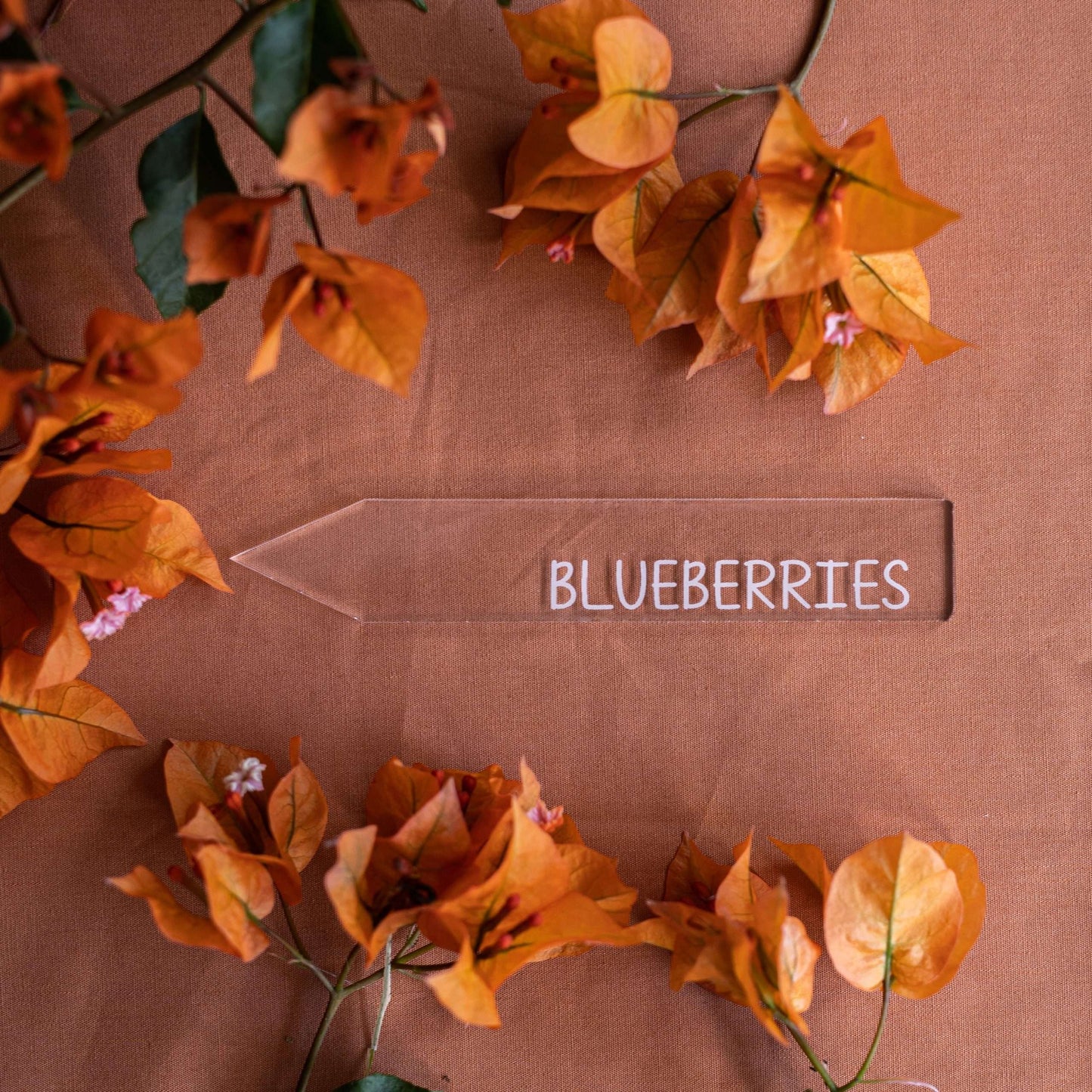 Vegetable and Herb Garden Markers