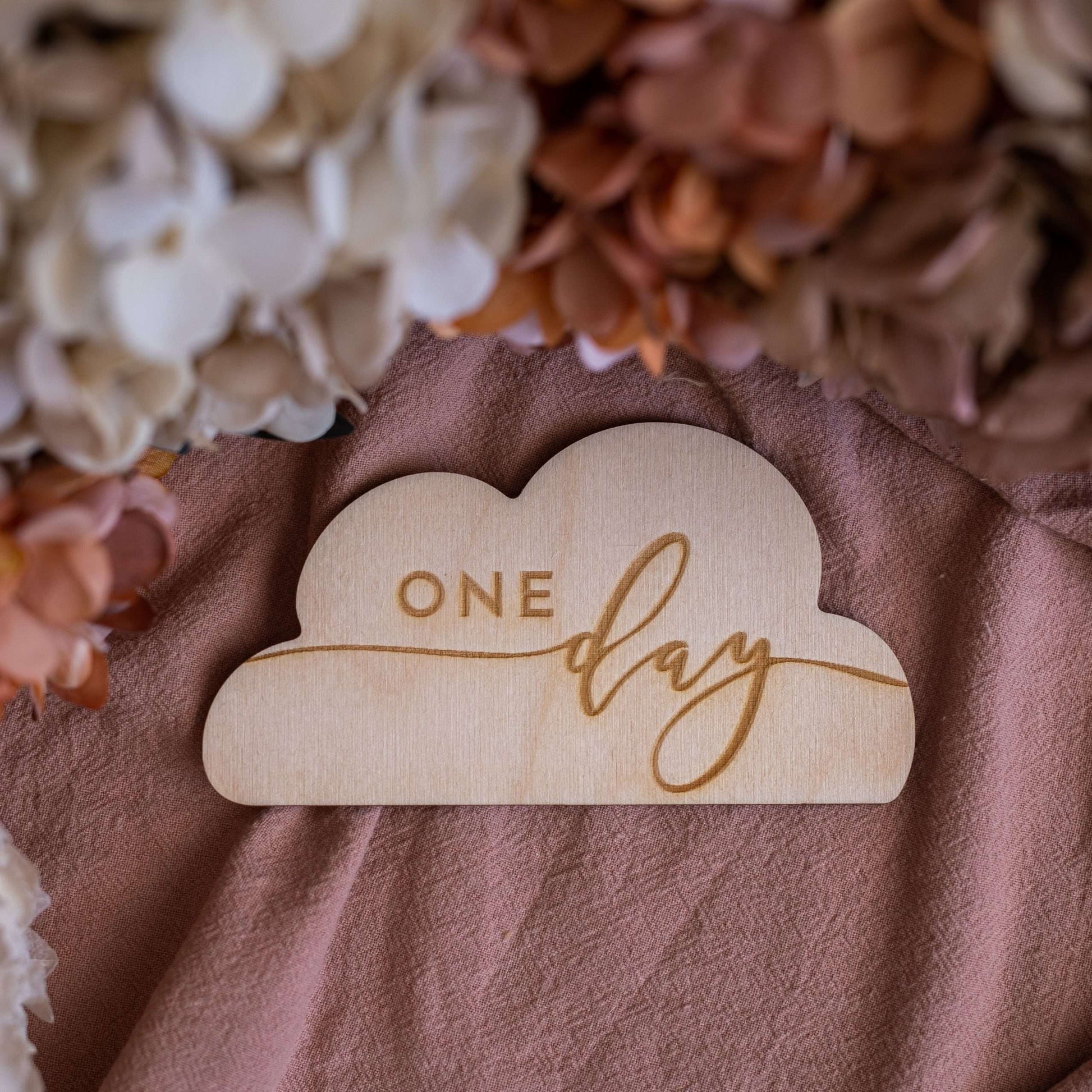 Cloud Milestone Discs, one day disc pictured