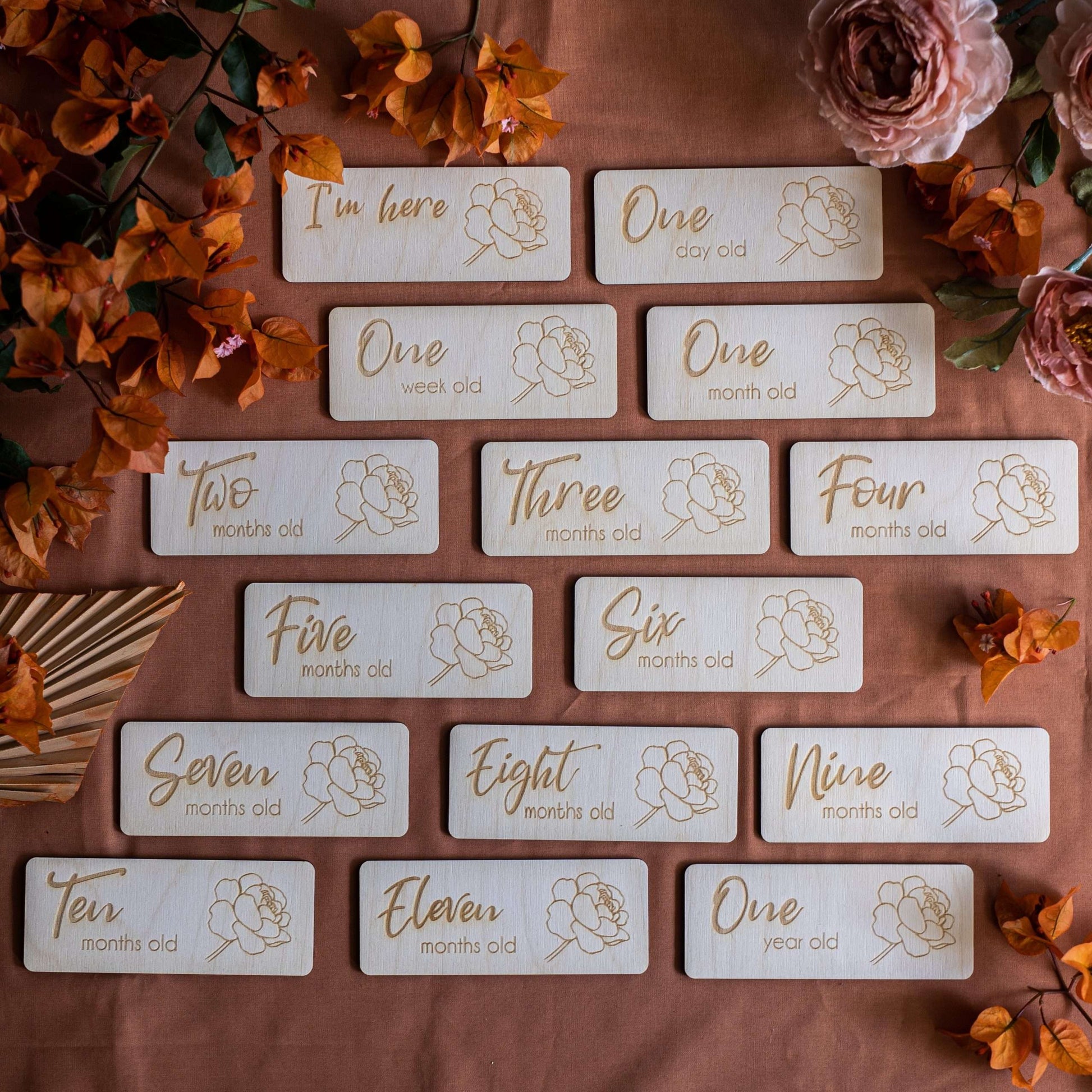 Flower Milestone Discs full set