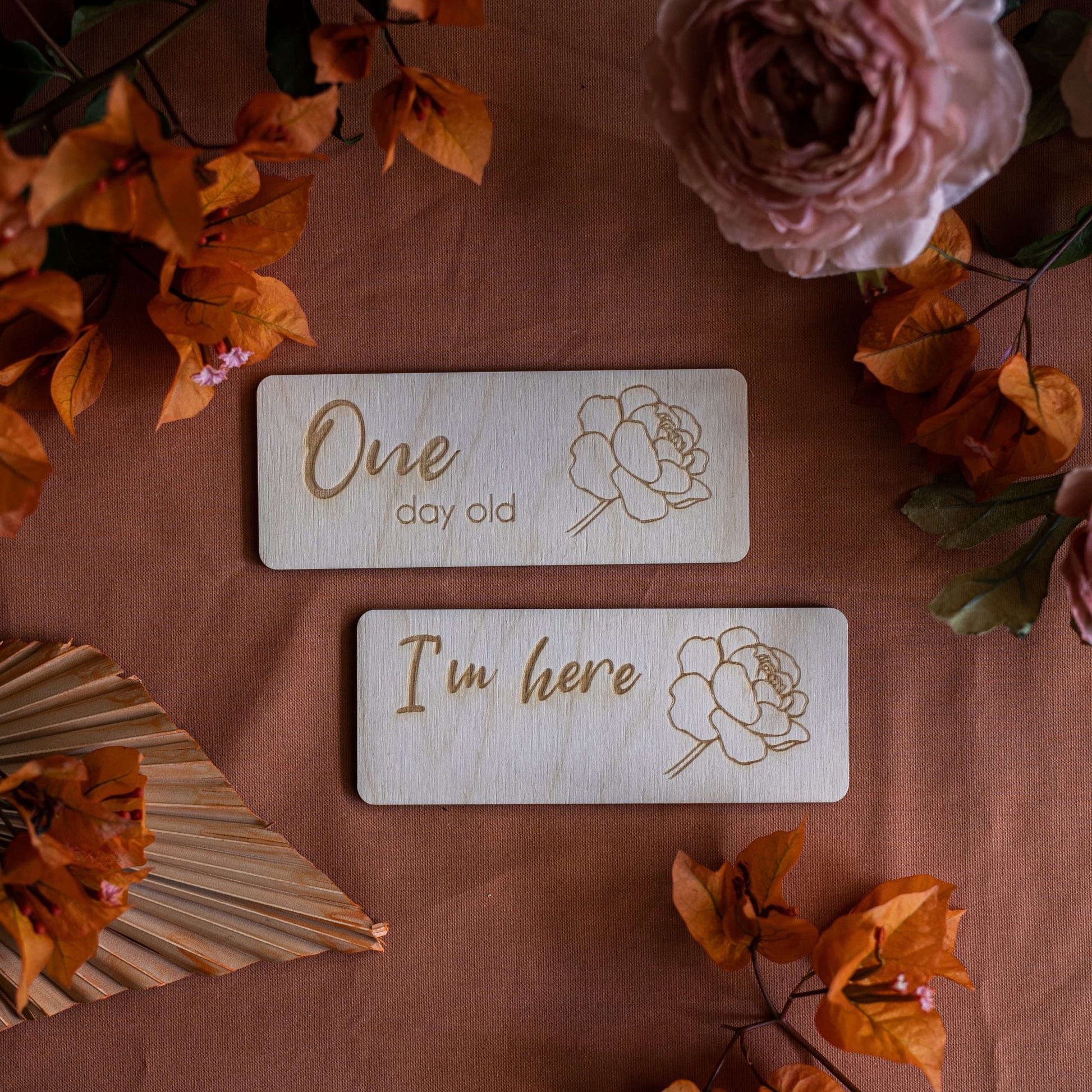 Flower Milestone Discs, One Day Old and I'm Here pictured