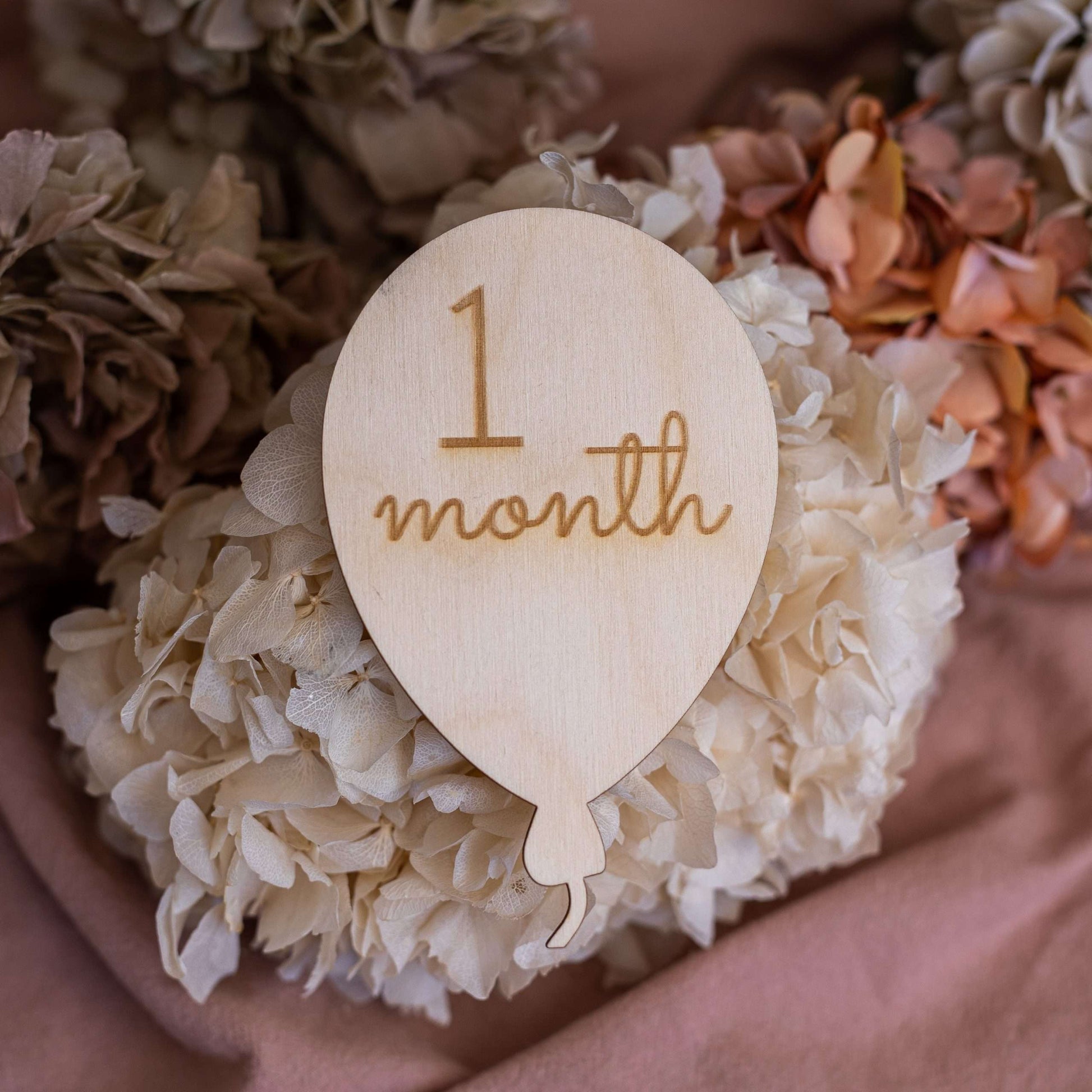 Balloon Milestone Discs One Month Disc