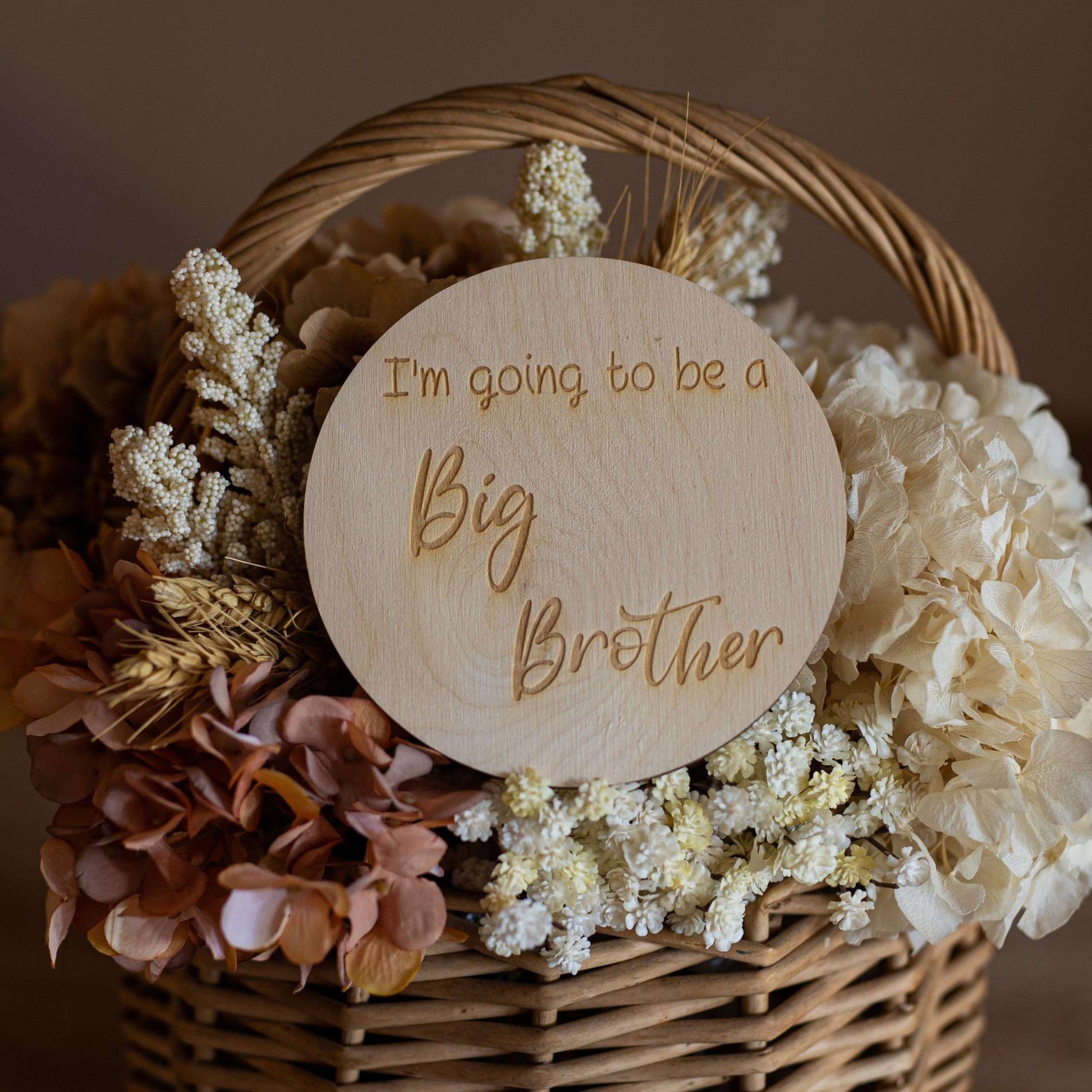 I'm Going To Be a Big Brother Announcement Disc