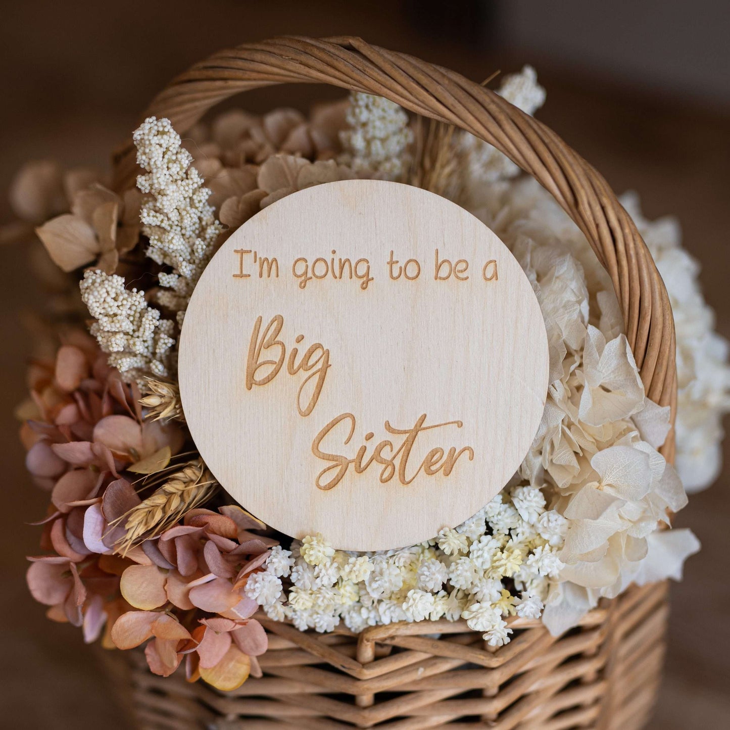 I'm Going To Be a Big Sister Announcement Disc