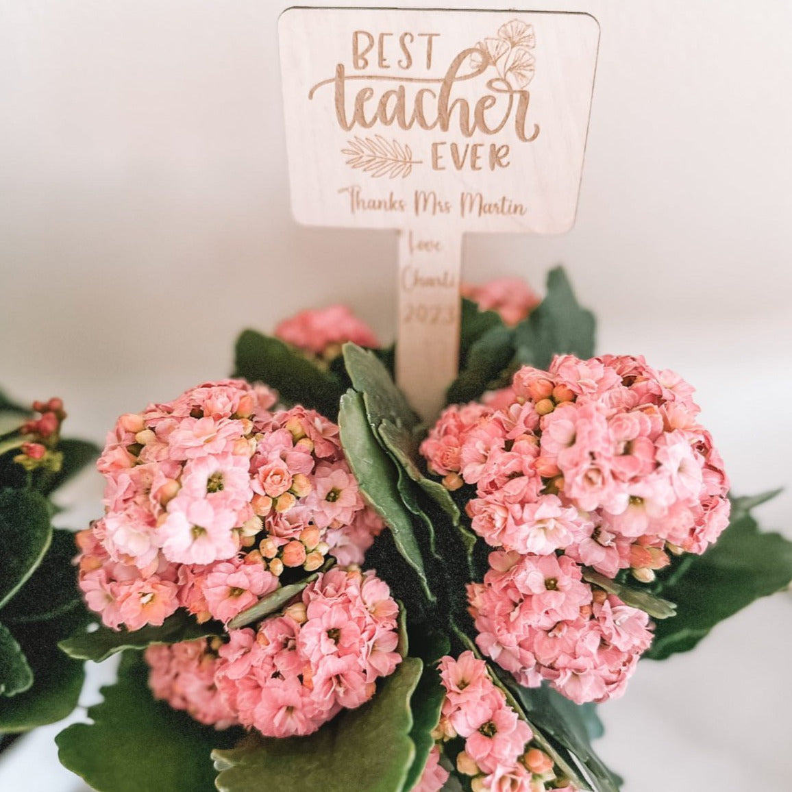 Teacher Gift Plant Stake for Best Teacher Ever