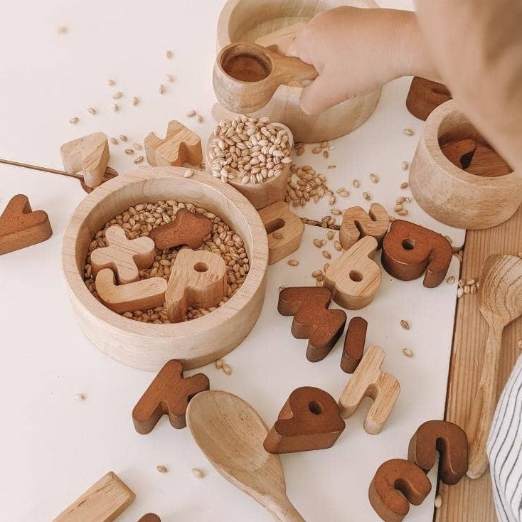 Q Toys | 2 Tone Wooden Lowercase Letters