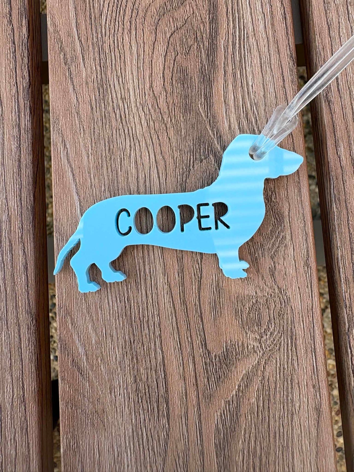 Dog Bag Tag | Back to School