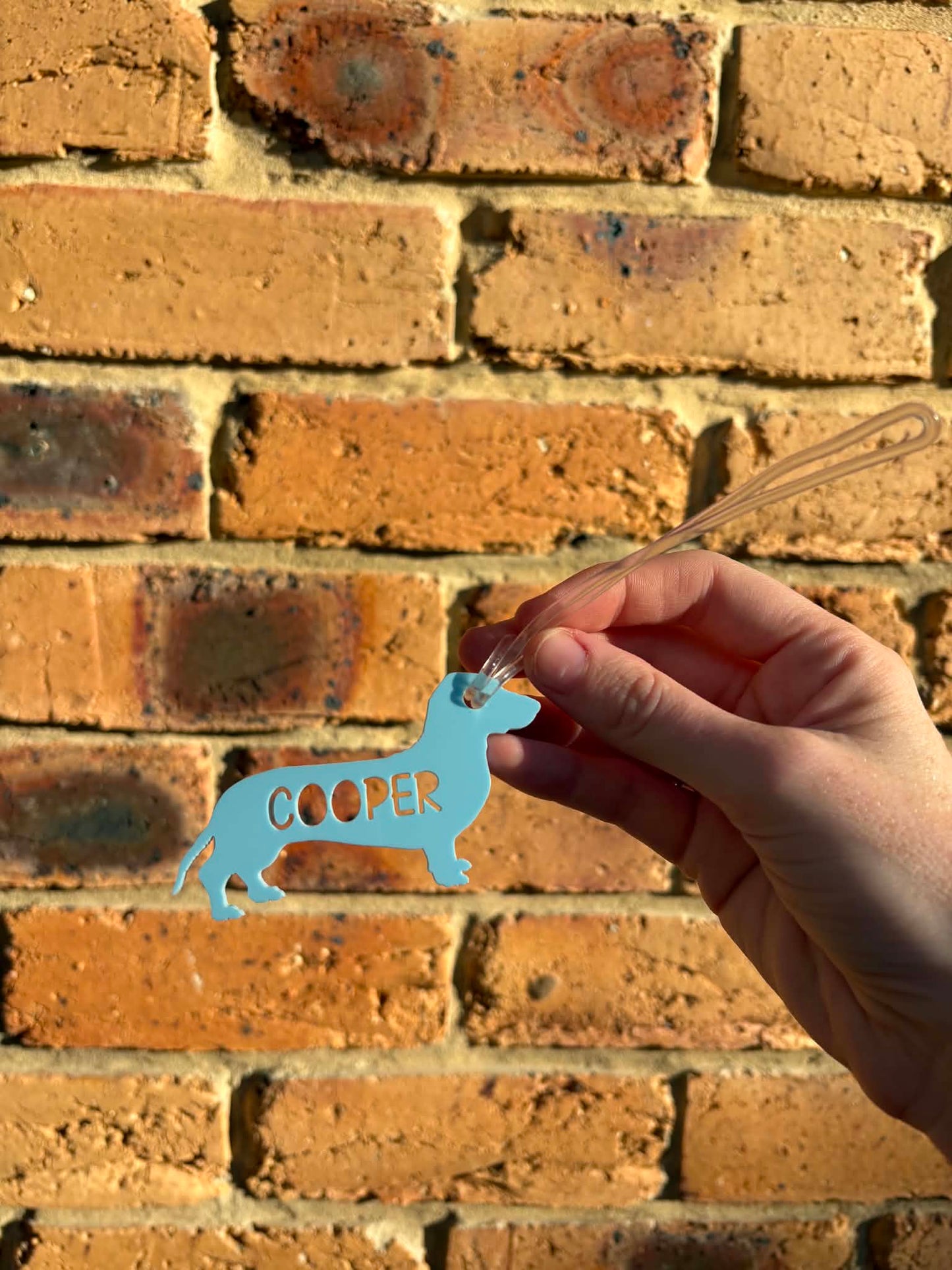 Dog Bag Tag | Back to School