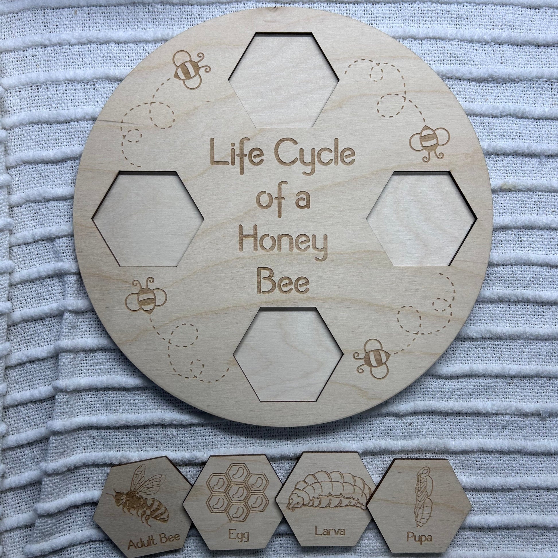 Honey Bee Life Cycle