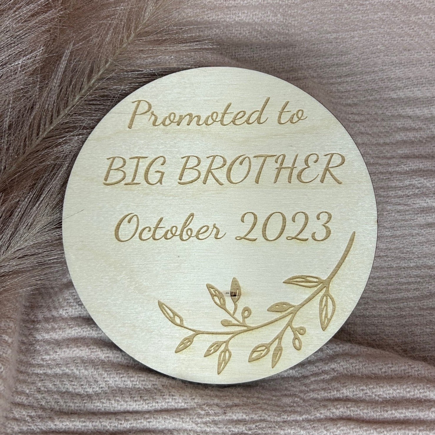 Promoted to Big Brother Announcement Disc