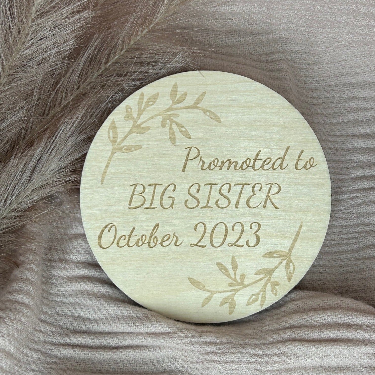 Promoted to Big Sister Announcement Disc