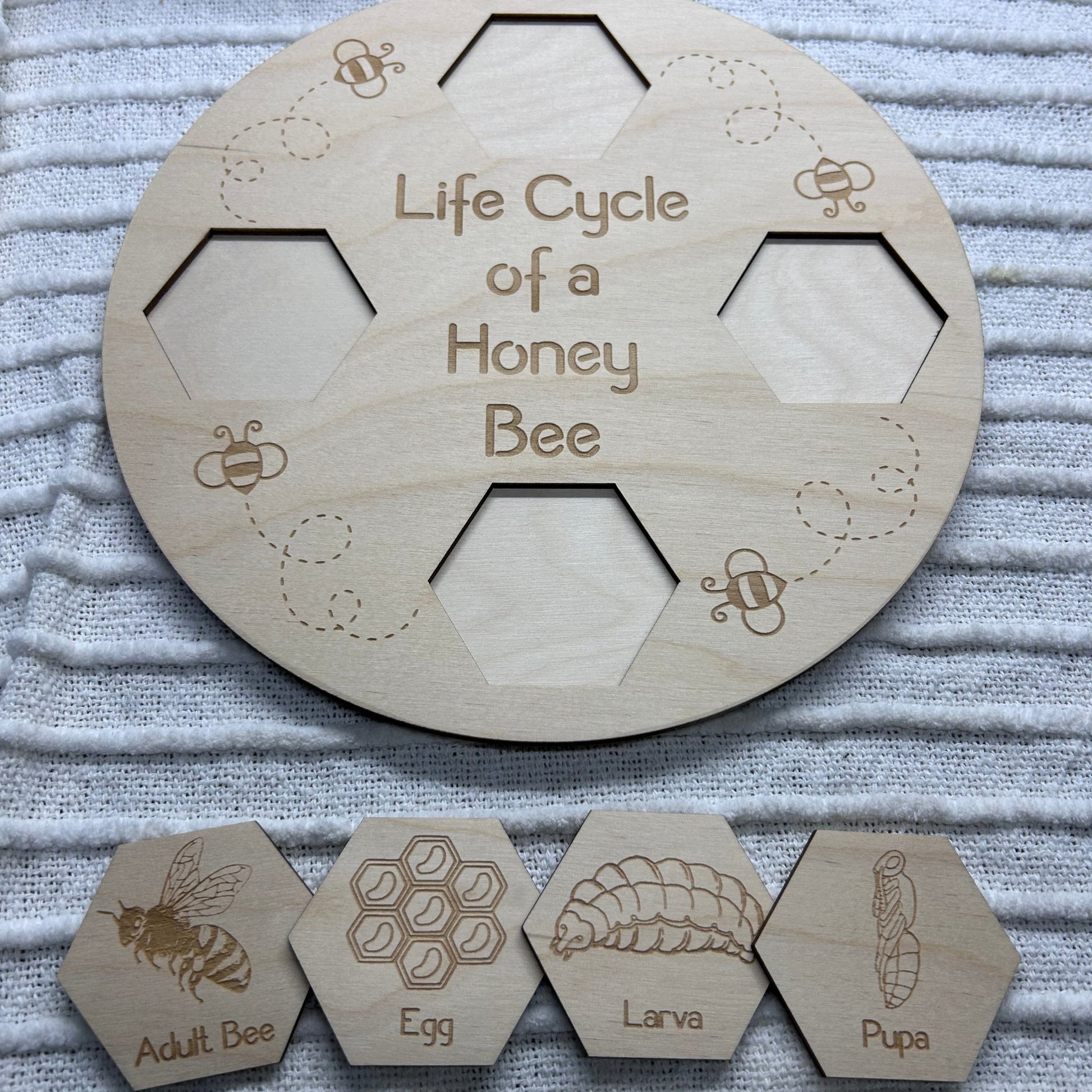 Life Cycle of a Honey Bee