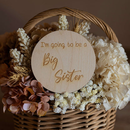I'm Going To Be a Big Sister Announcement Disc