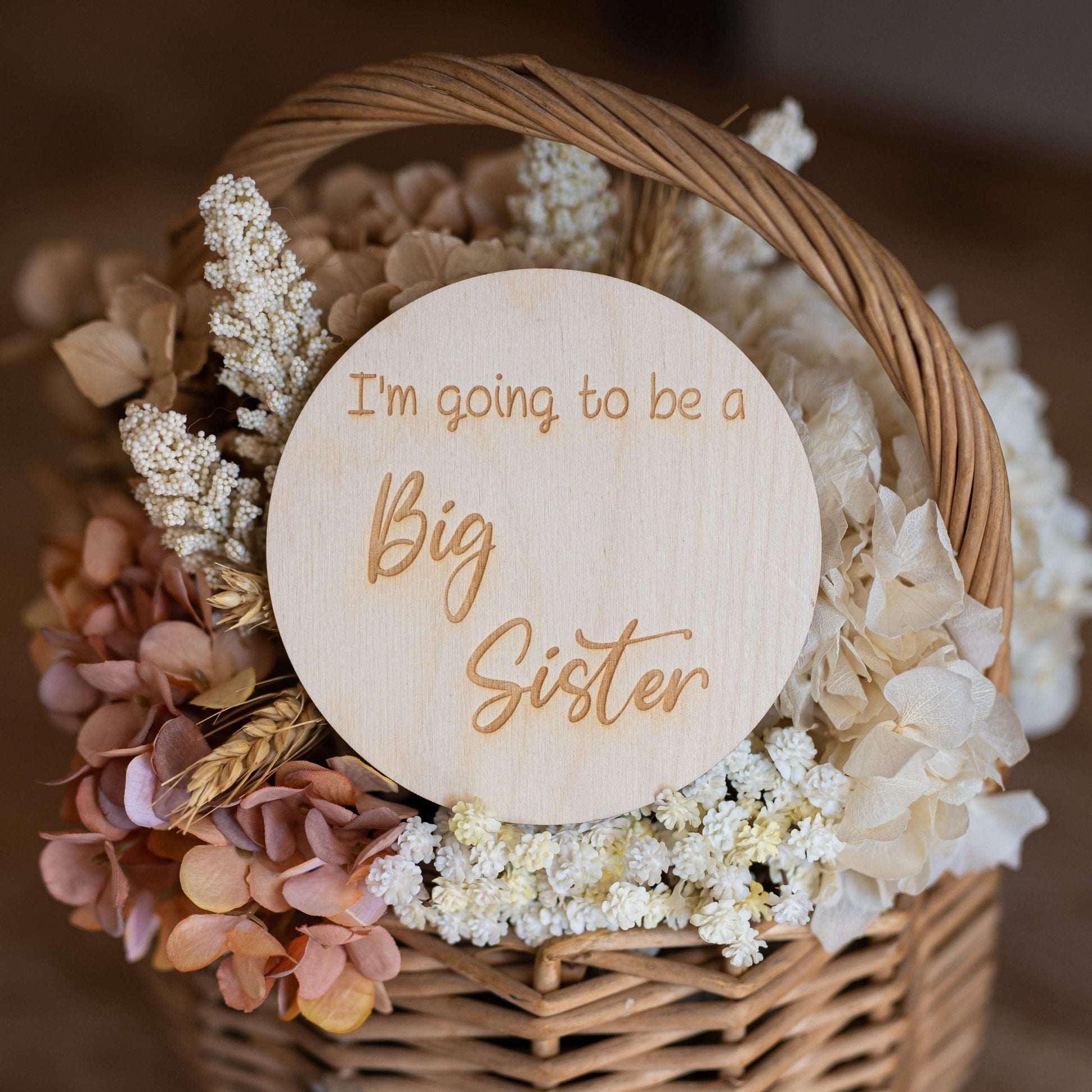 I'm Going To Be a Big Sister