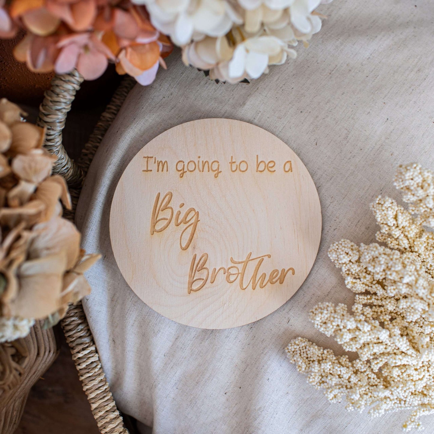 I'm Going To Be a Big Brother Announcement Disc